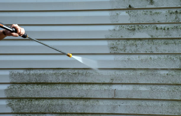 Best Attic Mold Removal  in Forest City, NC