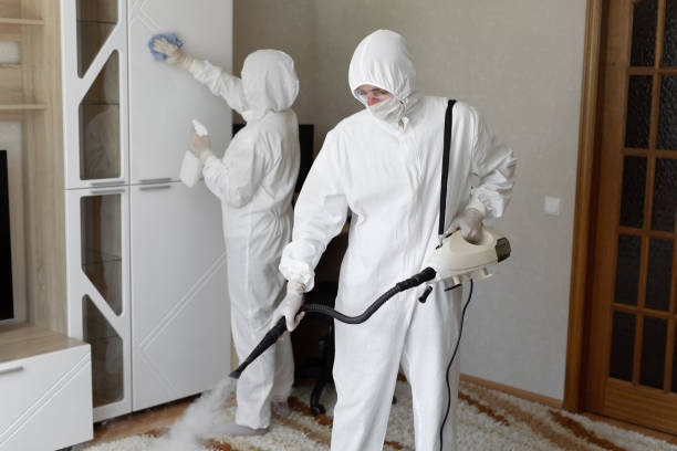 Best Residential Mold Removal  in Forest City, NC