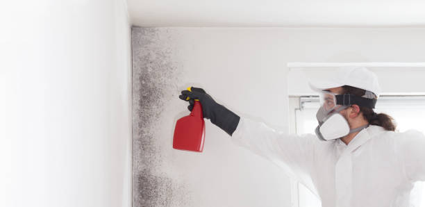 Crawl Space Mold Removal in Forest City, NC